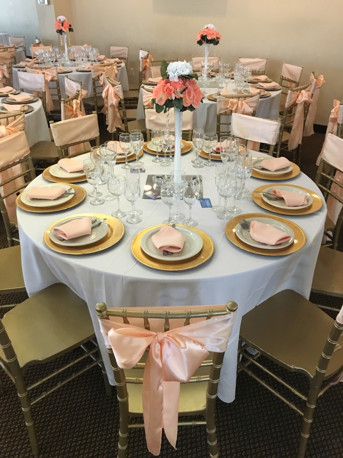 Variedades En Estilo Manassas Pk., VA Quinceanera